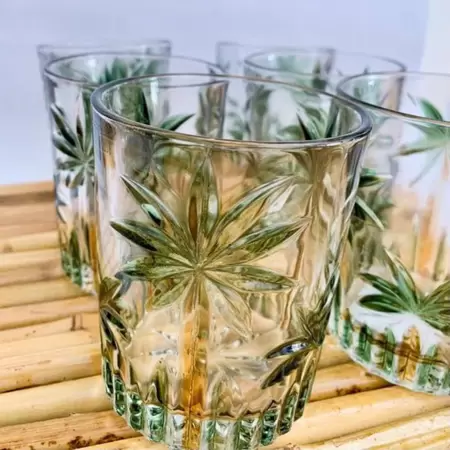 Wolff Palm Tree Conjunto de Copos Baixos de Cristal 6 Peças, Multicor (Palmeira Verde Pintura à Mão), 340 ml